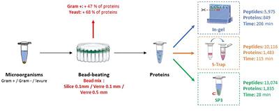 Evaluation of Sample Preparation Methods for Fast Proteotyping of Microorganisms by Tandem Mass Spectrometry